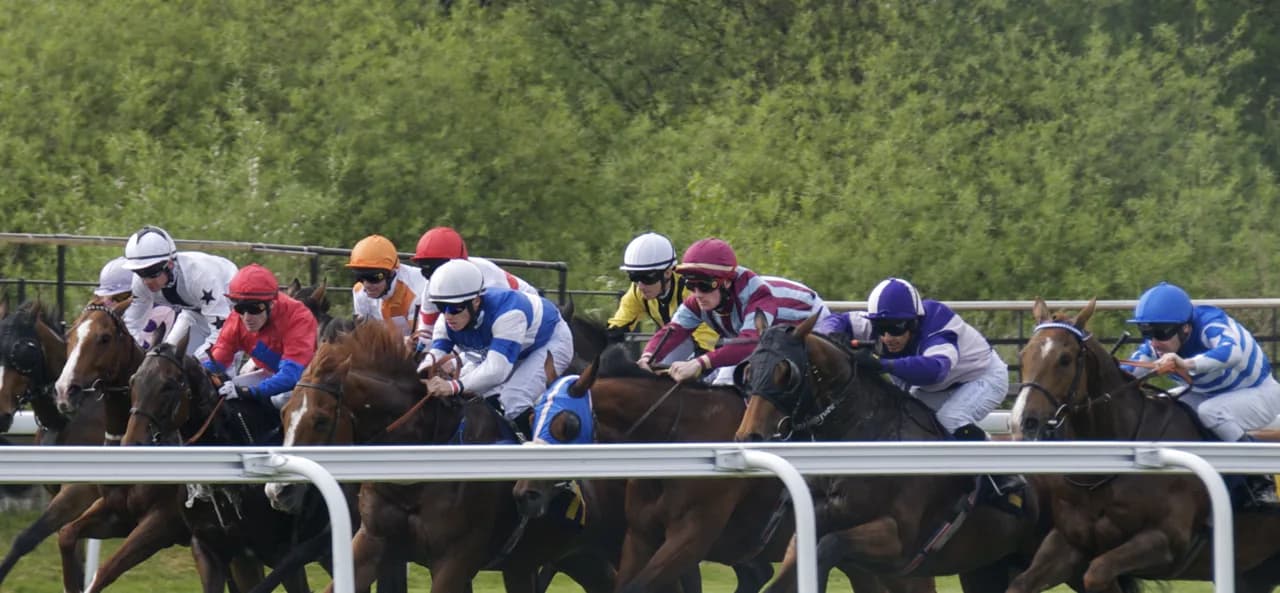 【毎日杯2016回顧】ノーステッキでの完勝・スマートオーディン