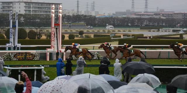 【チューリップ賞2016回顧】打倒メジャーエンブレムが見えたかシンハライト!