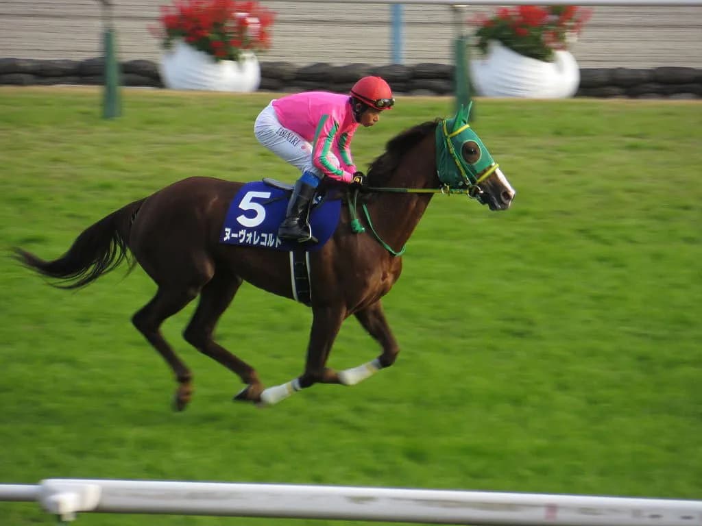 【大阪杯2016注目馬】休養明けに強いヌーヴォレコルト