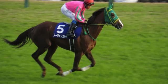 【大阪杯2016注目馬】休養明けに強いヌーヴォレコルト