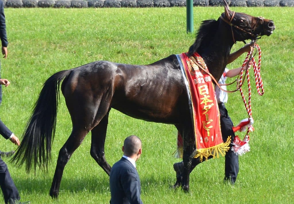 二冠馬ドゥラメンテ、死す