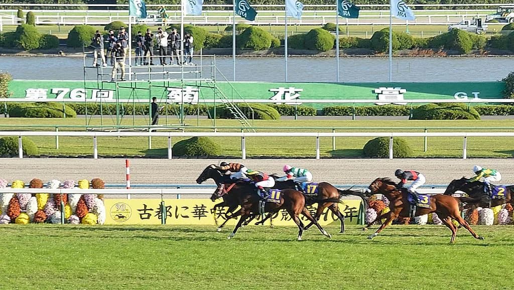 【大阪杯2016予想】GⅠクラスのメンバーが揃った中、キタサンブラックが菊花賞馬の強さを見せつける!!