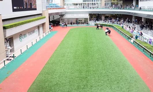 【高松宮記念2016予想】出走予定馬が続々と決定!