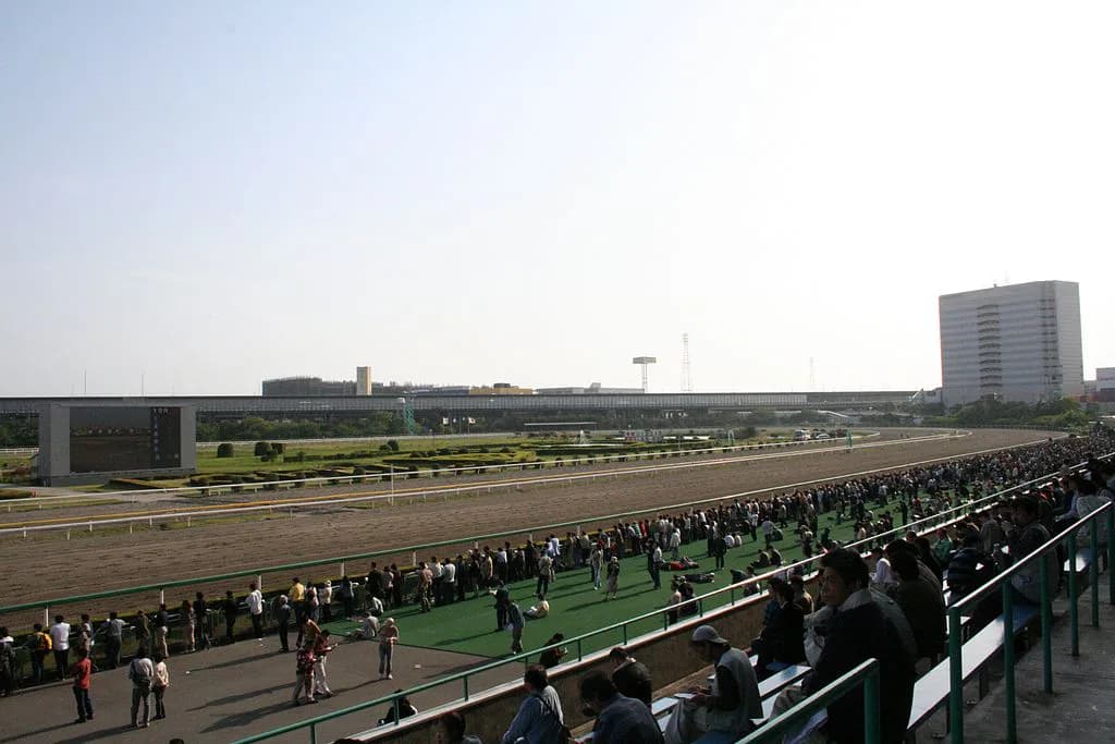 【マリーンC2016船橋】人気のブチコ・ヴィータアレグリアを抑えて注目したいディアマイダーリン