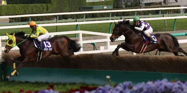 【東京ジャンプS予想2017】注目の穴馬は?前走二桁着順のあの馬が・・・?!