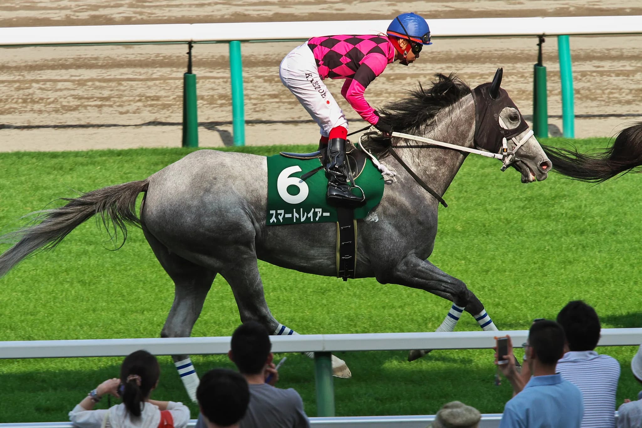 【京都大賞典考察】敢えて強豪牡馬相手にぶつかるスマートレイアー