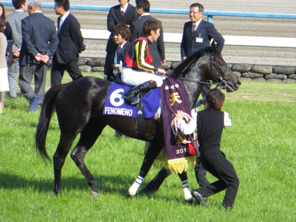 G1・2勝のフェノーメノ、種牡馬を引退