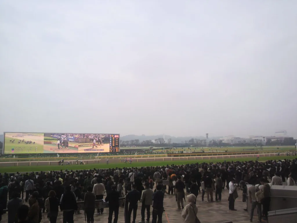 【皐月賞2016予想】天気が崩れたら危なそうな馬、走りそうな馬