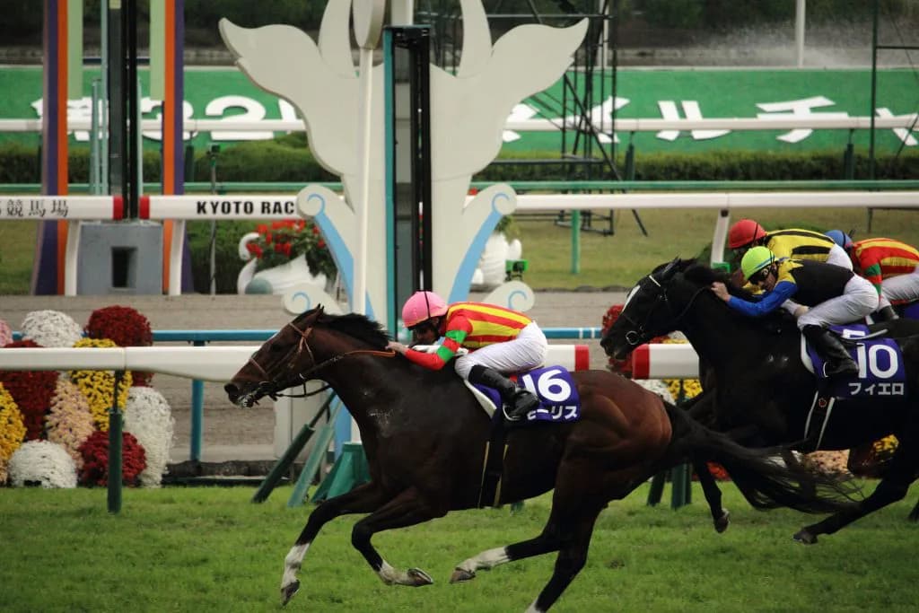 香港チャンピオンズマイルへ出走のモーリスの期待度は?ライバルなどを考察