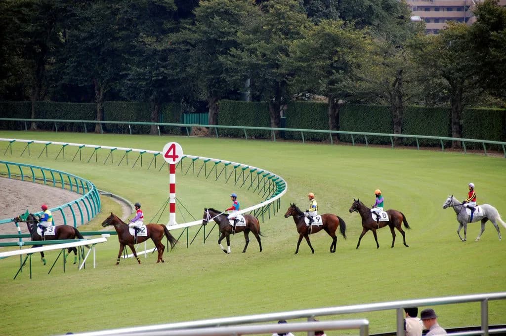 【ニュージーランドT予想2016】このレースでマイル路線の勢力図見えるか?