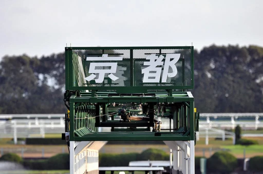 【JBCレディスクラシック2018予想】京都で4着以下なしの穴馬を狙え!