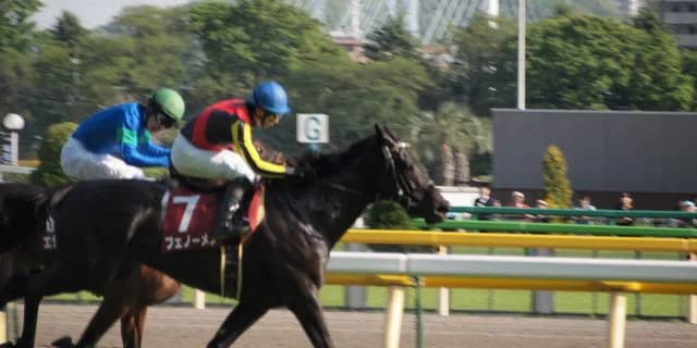 謎の天皇賞馬マメチン