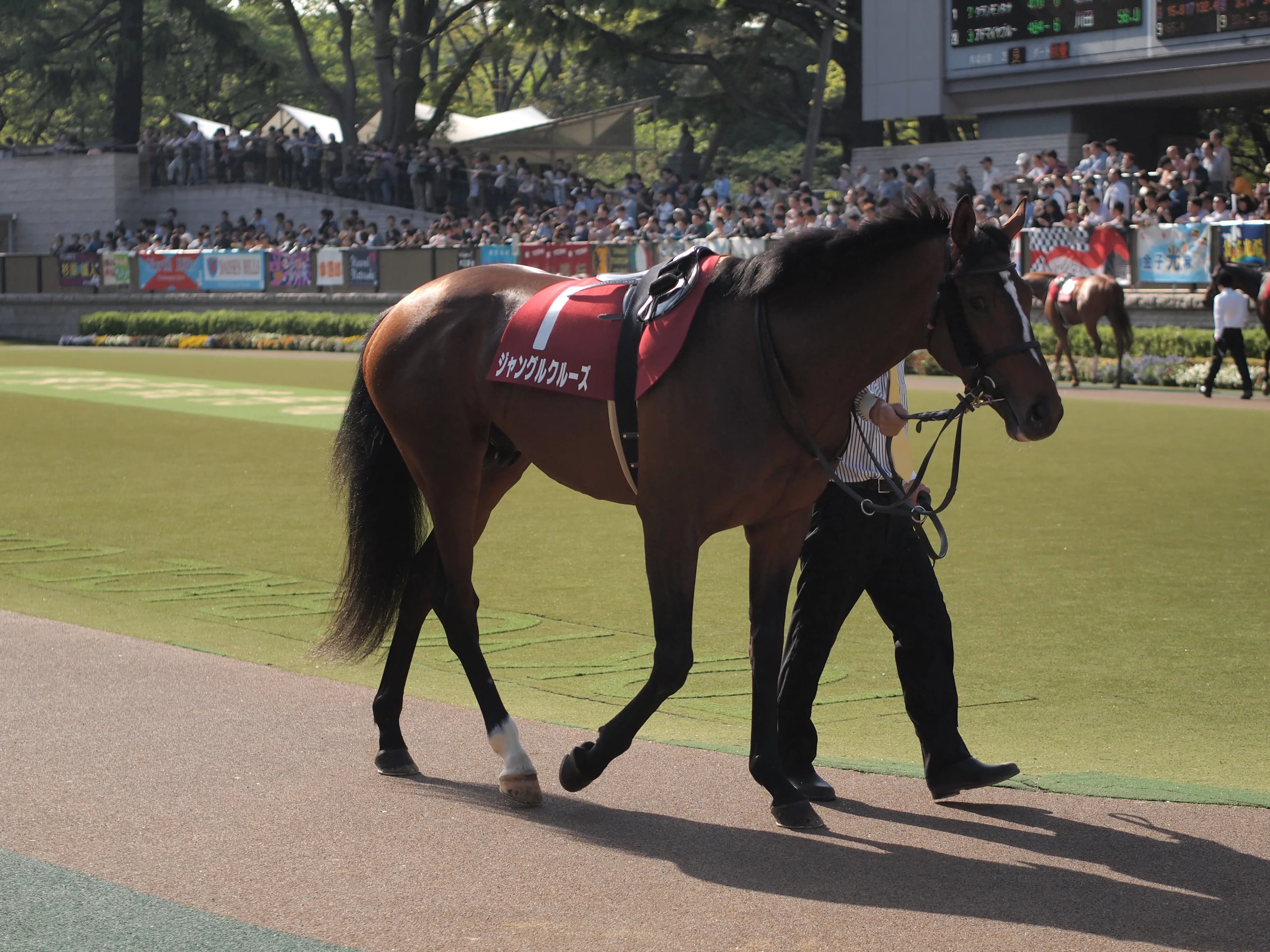 【4月23日(土)メトロポリタンS注目馬】人気のジャングルクルーズを抑えて条件ベストで見直せるモンドインテロ