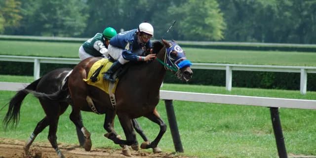 【アンタレスS2016回顧】アウォーディー・アスカノロマンの2頭が抜けた走りを見せた