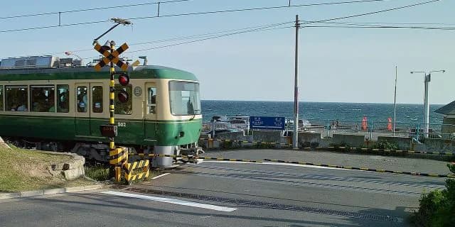 【由比ヶ浜特別考察】1番人気は要注意!斤量・体重・人気から予想