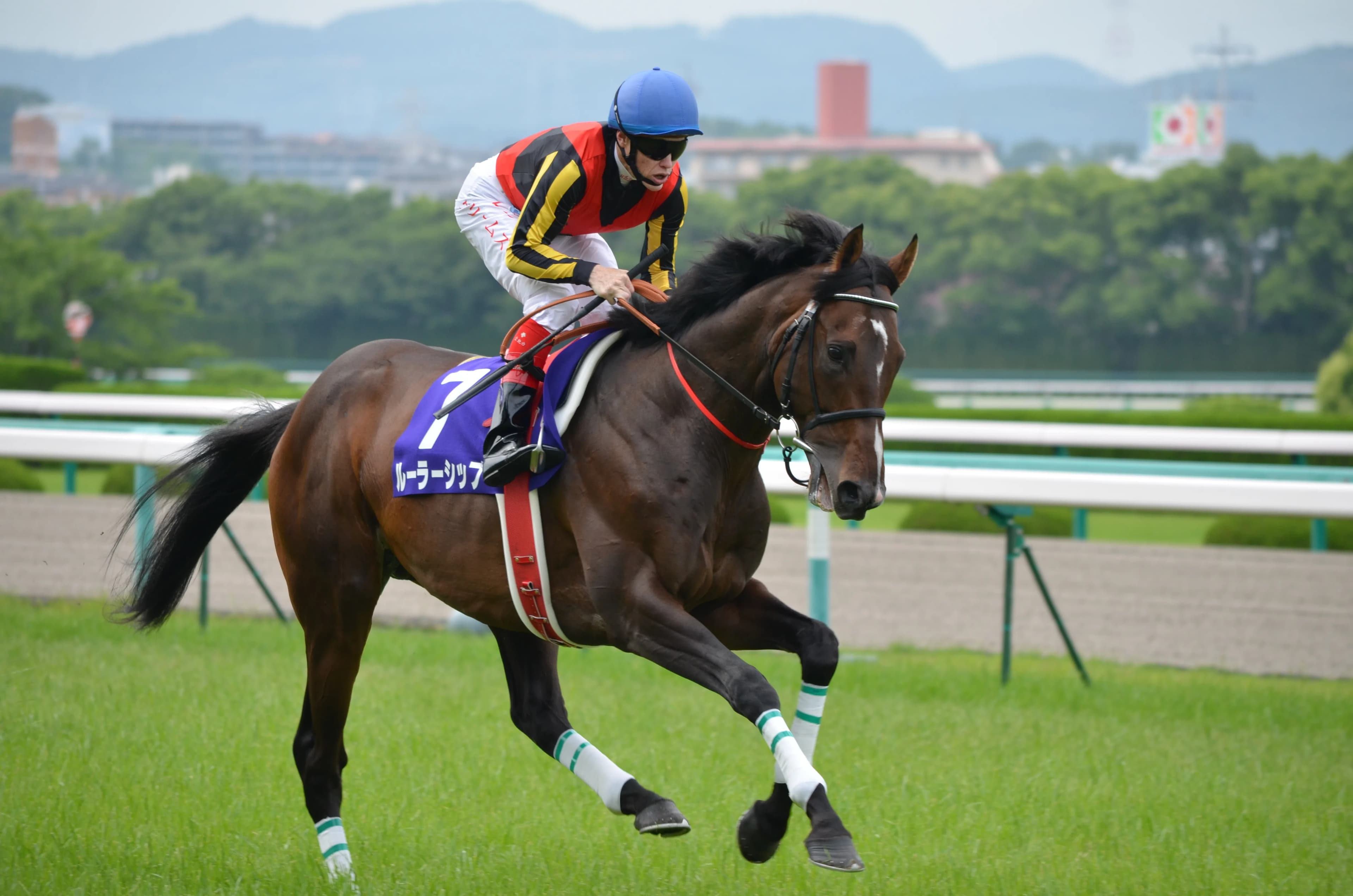 【プリンシパルS2016予想】地力強化プランスシャルマンが決める!