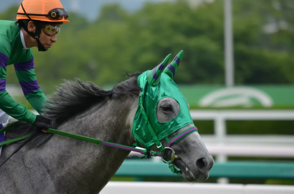 出会いは2歳。オルフェーヴルとホエールキャプチャに産駒誕生