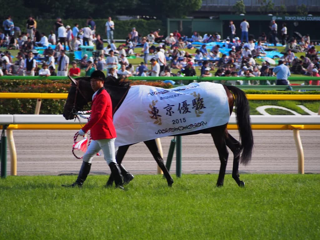 【日本ダービー2016予想】侮れない青葉賞組!初のダービー馬誕生なるか?!