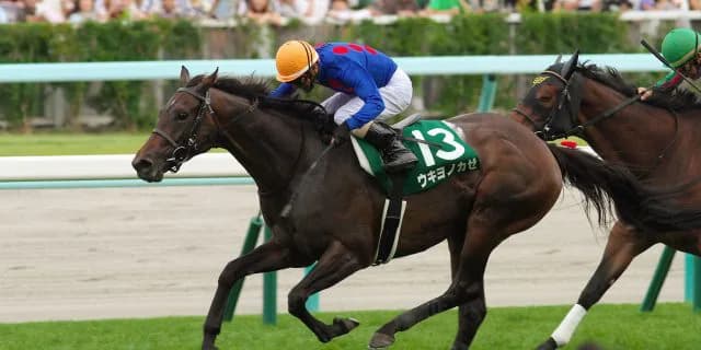 G3・3勝のウキヨノカゼ引退、繁殖入り