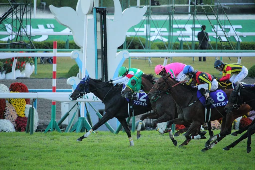 【宝塚記念2016】夏は牝馬か!?タッチングスピーチ、マリアライト考察