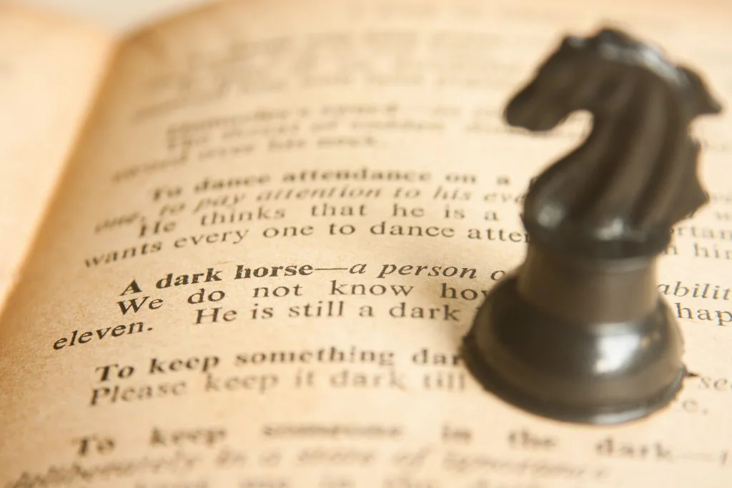 【オークス2016予想】桜花賞馬不在・桜花賞1番人気馬不在ならこの馬が不気味だ!ロッテンマイヤー!