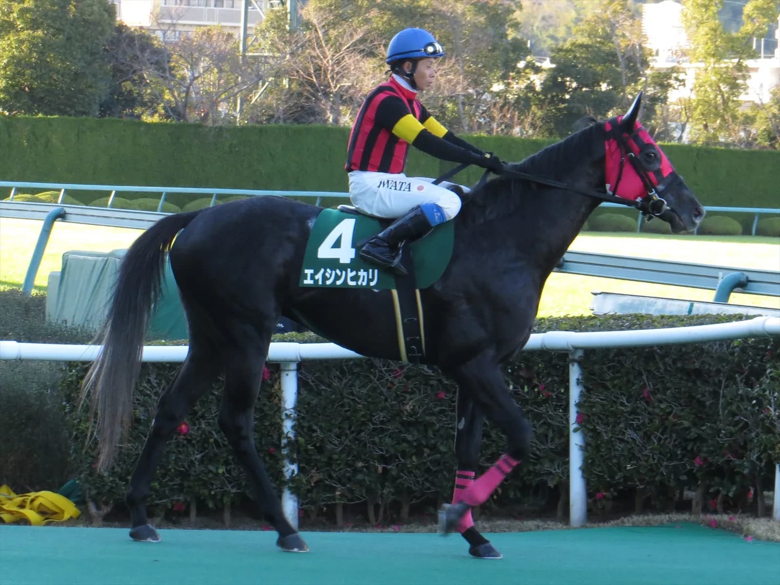 【速報】エイシンヒカリ仏イスパーン賞で優勝