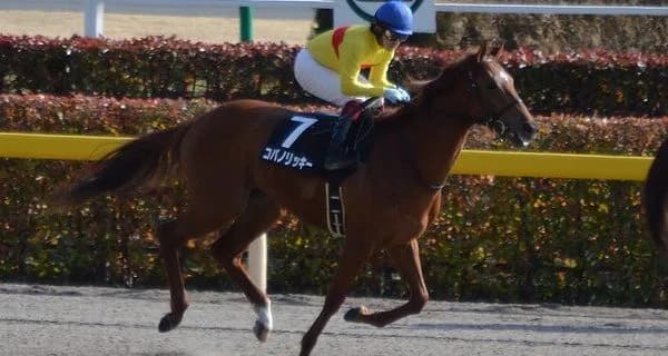 【チャンピオンズC予想2017】コパノリッキー前人未到の記録へ向けて絶望的なデータ覆せるか?