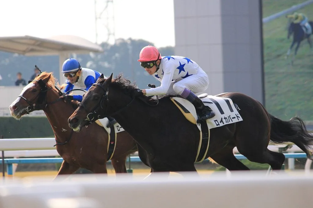 【日本ダービー2016予想】2400mへの距離適性(2)・リオンディーズとディーマジェスティなどのジャッジは?!