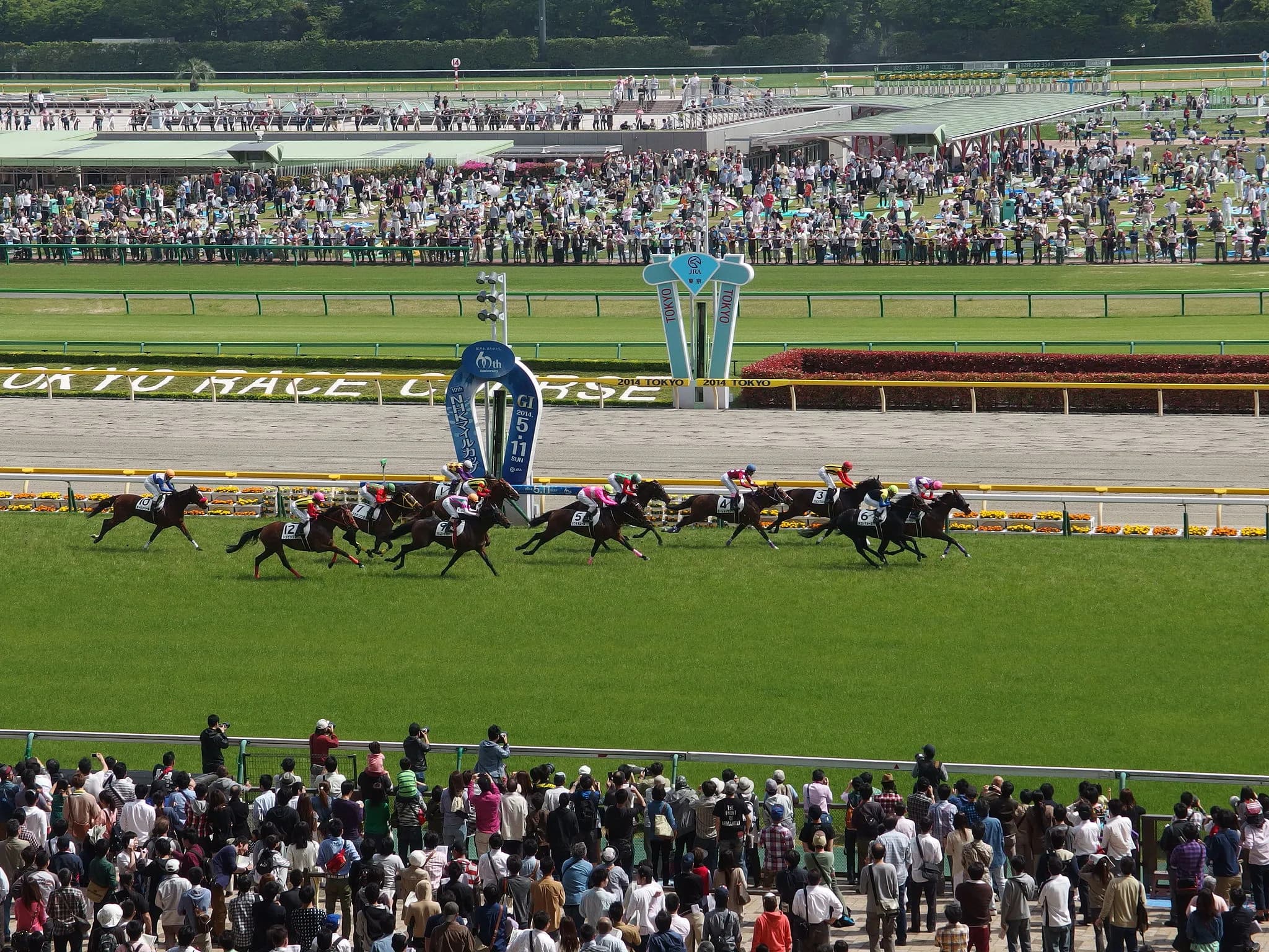 【雲雀S予想2017】中山1200mのスペシャリストが東京コースで真価を問われる