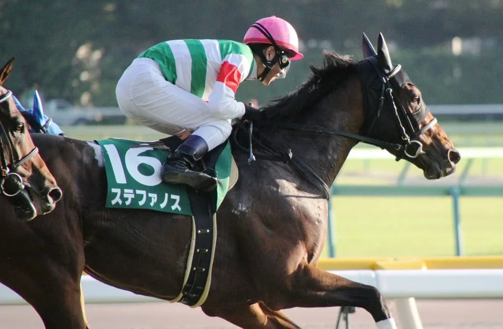 【大阪杯2017予想】ステファノスが買える”2つの理由”とは?