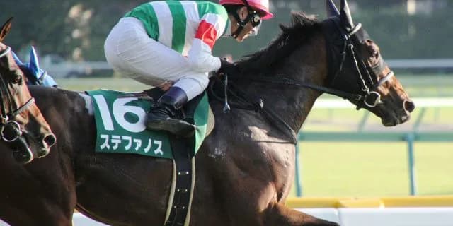【天皇賞秋2018予想】今年は毎日王冠からのステファノス、4度目の正直で戴冠へ!