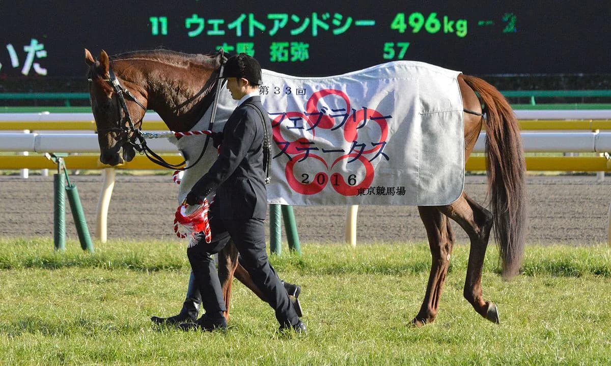 【フェブラリーS予想2017】ライアン・ムーア今週こそ結果が欲しい