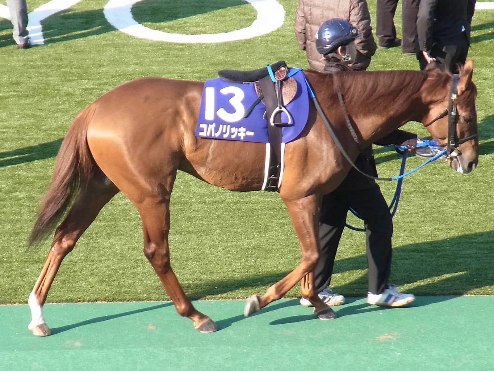 【帝王賞2016予想】帝王賞も武豊!G1連勝へ意欲十分のコパノリッキー
