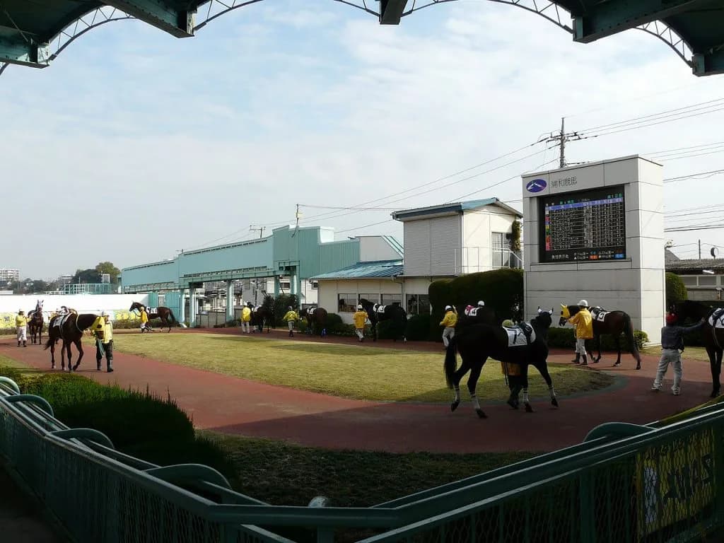 【さきたま杯2016予想】絶好調ソルテが中央勢に待ったをかける!