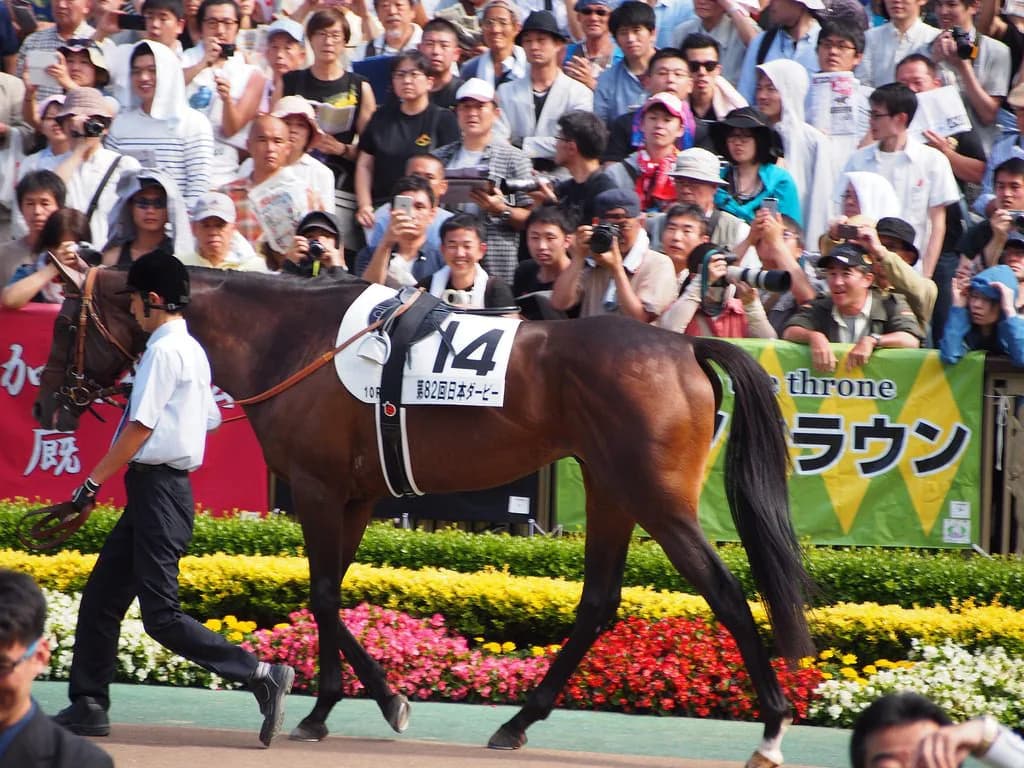 【宝塚記念2016予想】ドバイ帰りのドゥラメンテは買えるか?