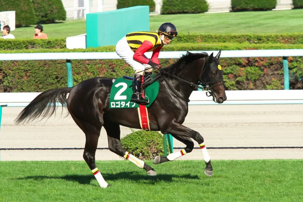 G1・3勝のロゴタイプ、現役を引退し種牡馬に