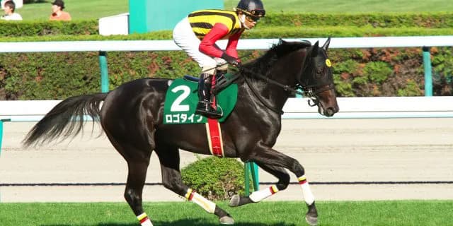 本命以外が熱い社台ファーム産馬