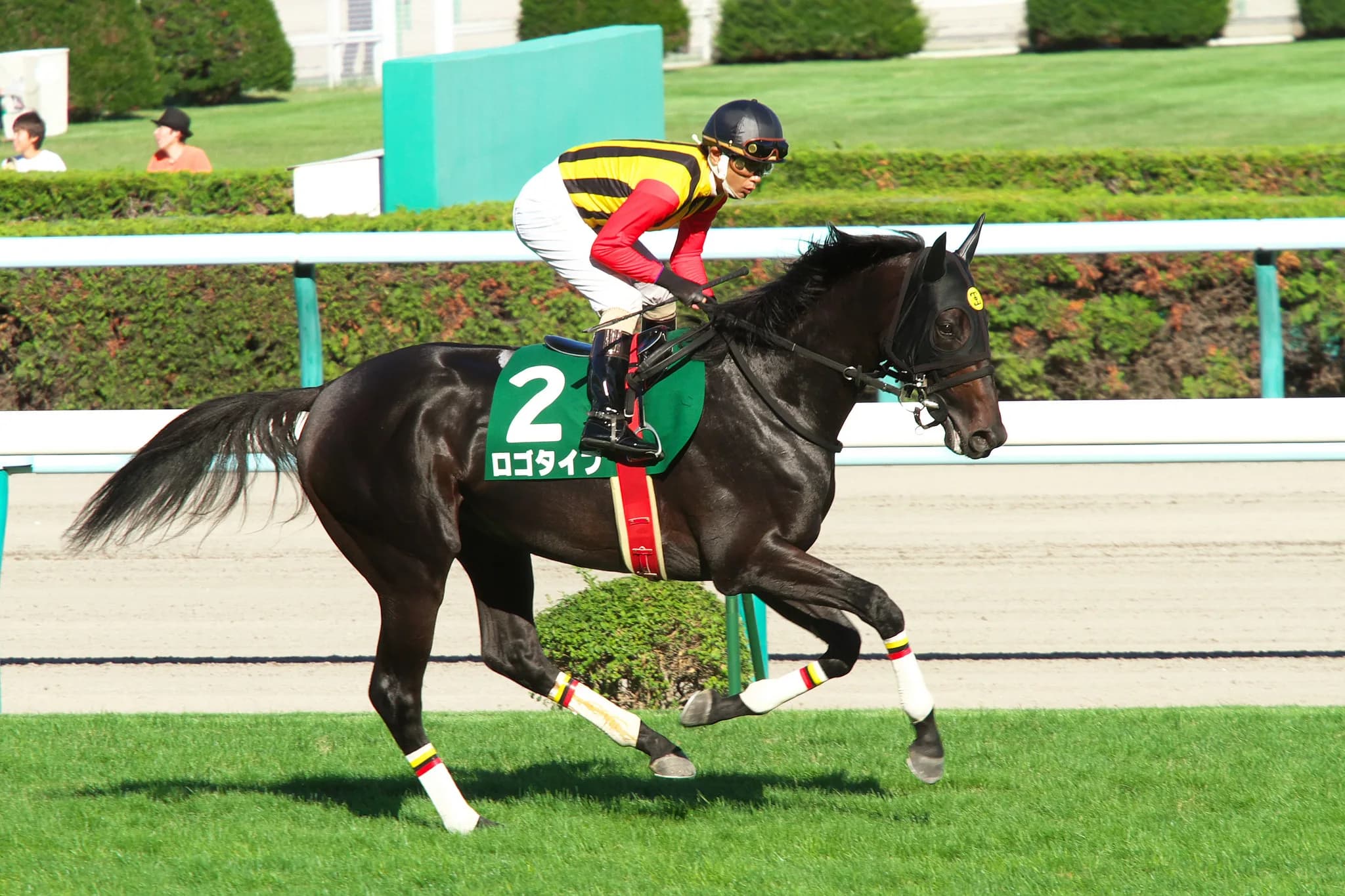 本命以外が熱い社台ファーム産馬