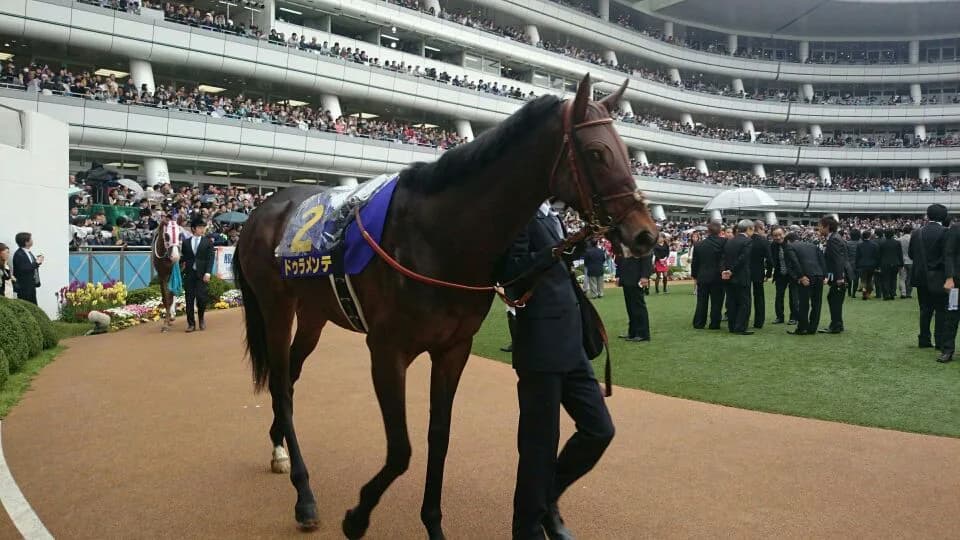 【種牡馬】「ドゥラメンテ」が成功すると思う3つの理由