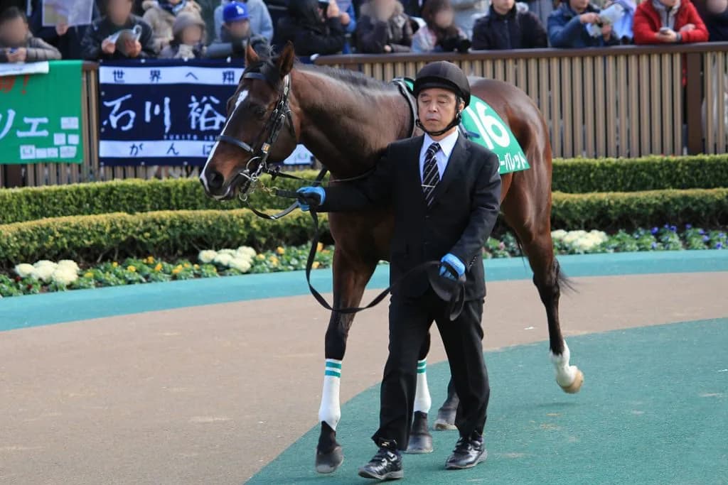 【北海道スプリントC2016予想】ダート短距離界の新星ノボバカラがダノンレジェンドを破るか?!