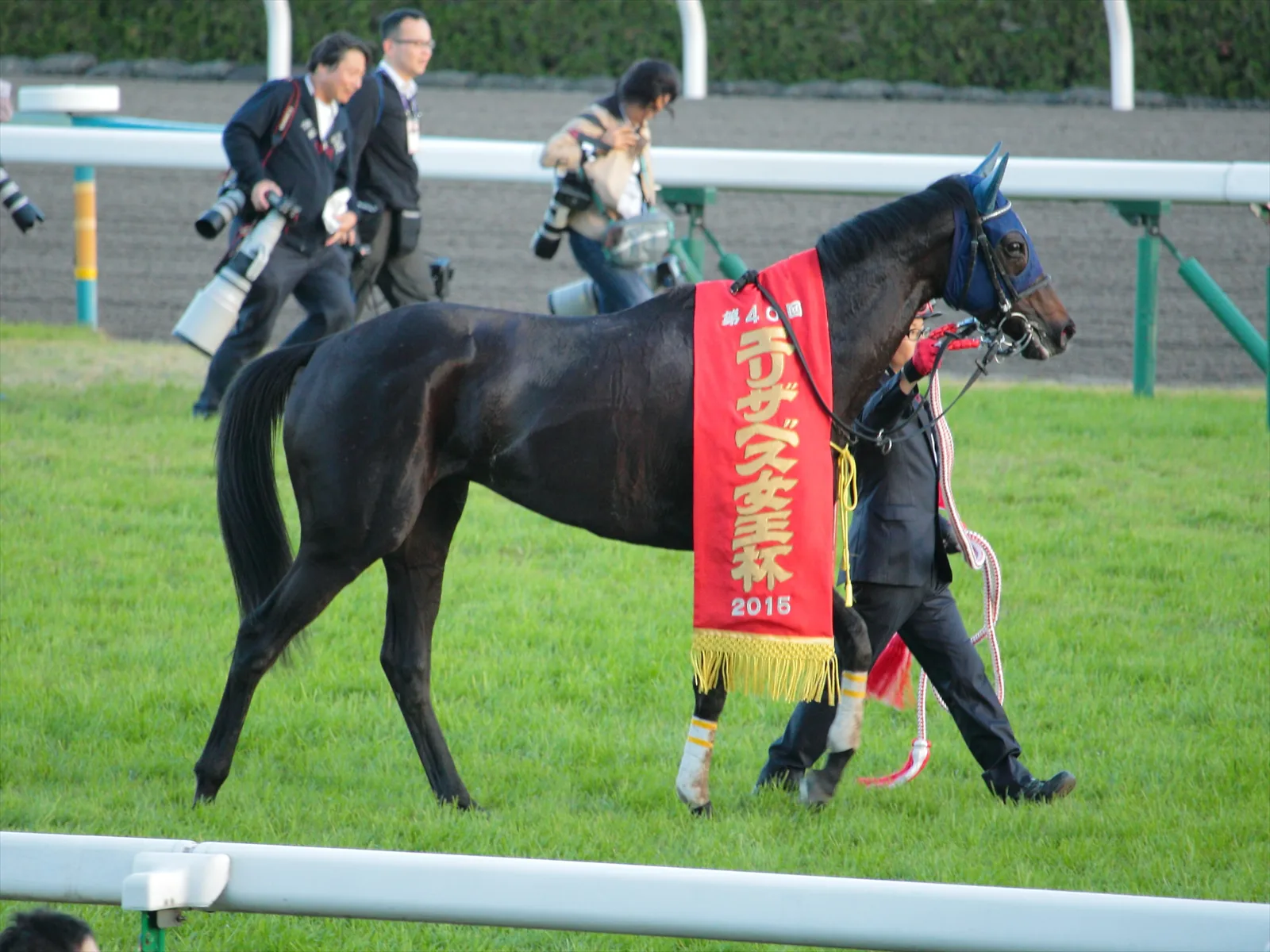 【宝塚記念2016出走馬】牝馬なのに長距離系?マリアライトに迫る