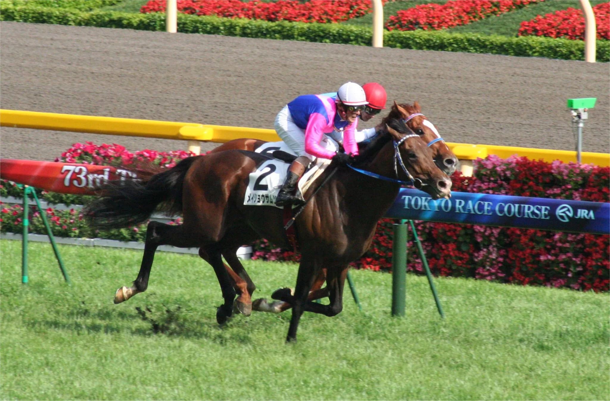 【JRA】メイショウサムソン亡くなる、心不全により