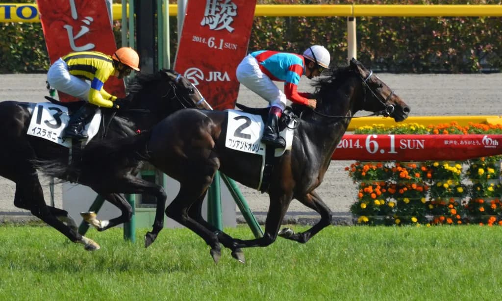 【アルゼンチン共和国杯2016予想】機は熟した、ワンアンドオンリーは今が買い時