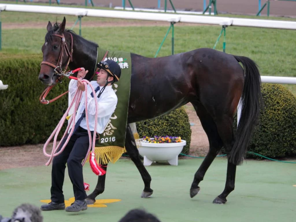 【有馬記念2017予想】狙い目は人気の盲点となる“あの馬”!