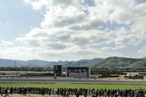 夏競馬は波乱の幕開け!サマーシリーズポイントランキング