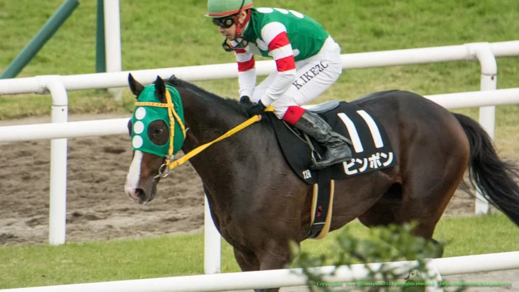 【ジュライS2016予想】ピンポンは危険な人気馬か?