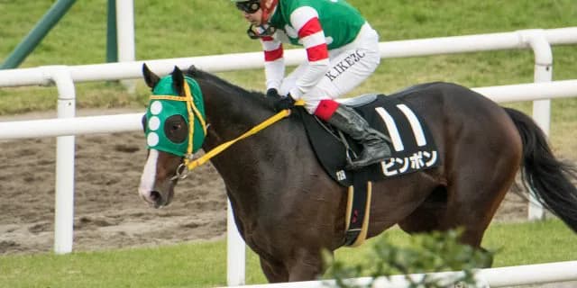 【ジュライS2016予想】ピンポンは危険な人気馬か?