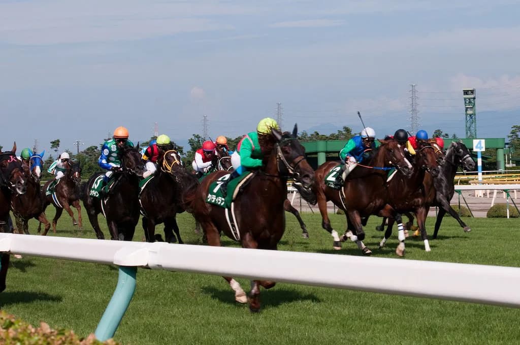 【アイビスサマーダッシュ2016予想】直千巧者の3頭が激突!