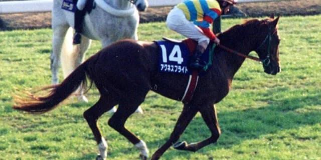 【追憶の名馬面】アグネスフライト - 3/3