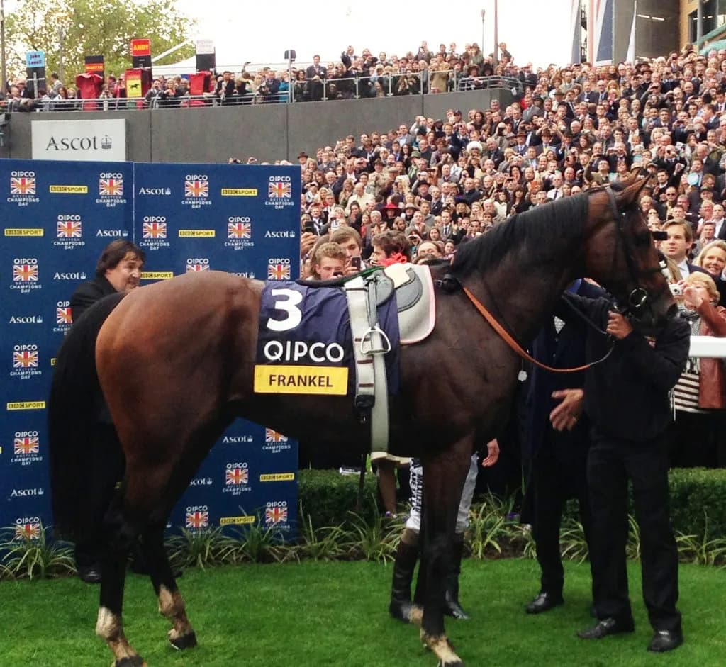 【アイビーS予想2016】ソウルスターリングが格の違いを見せる!!